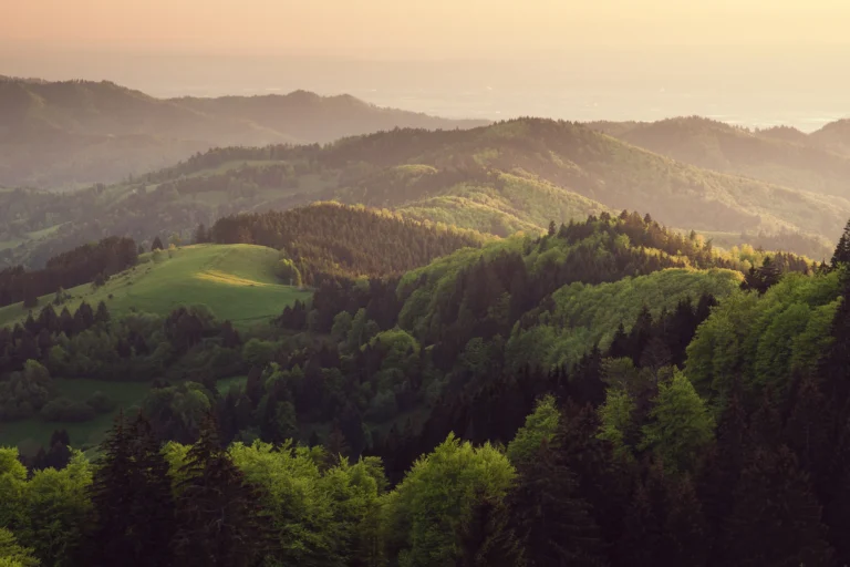 KIITEs in the Forests 8 BlackForest-Germany-GettyImages-147180370.jpg