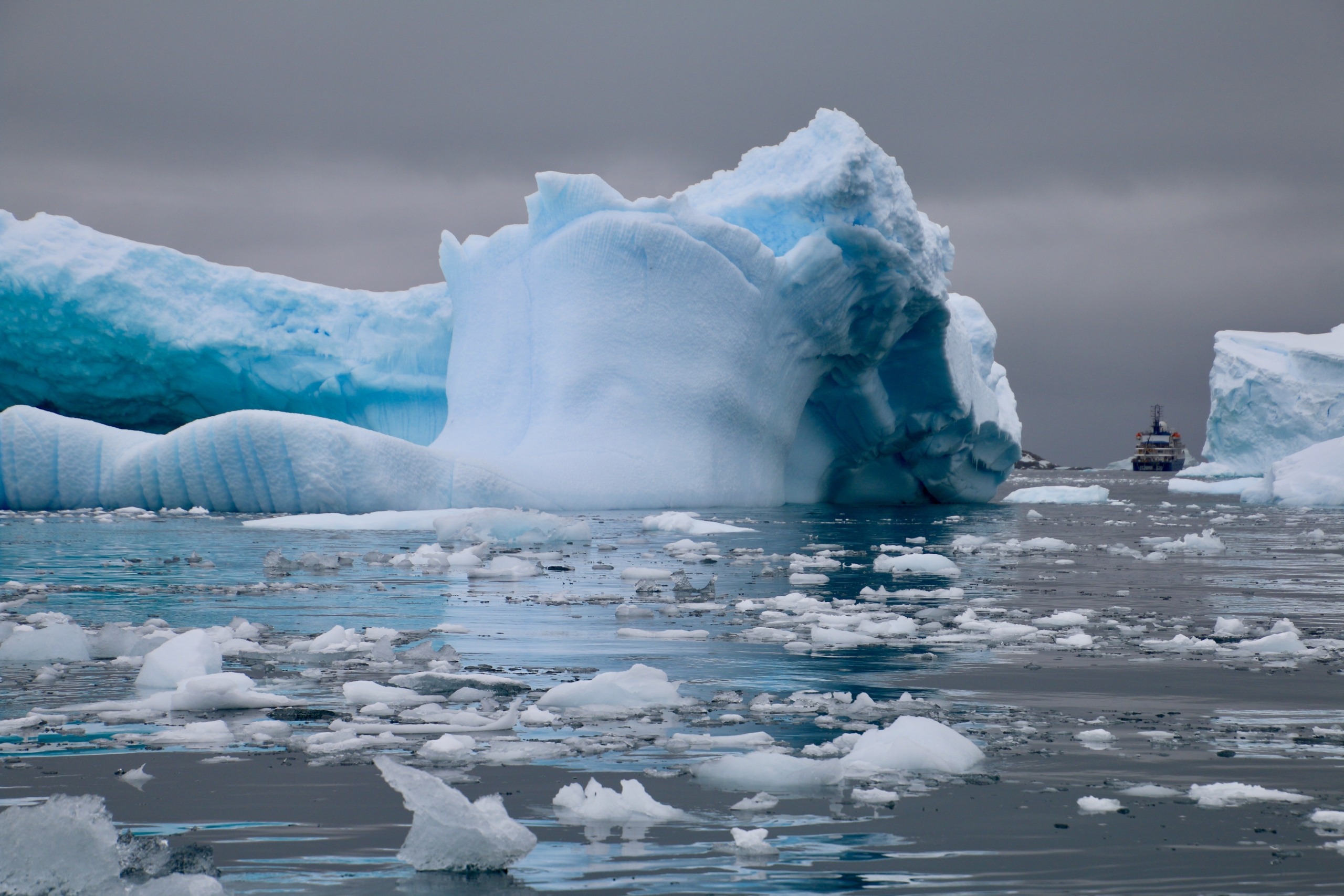 antarctica-4500447