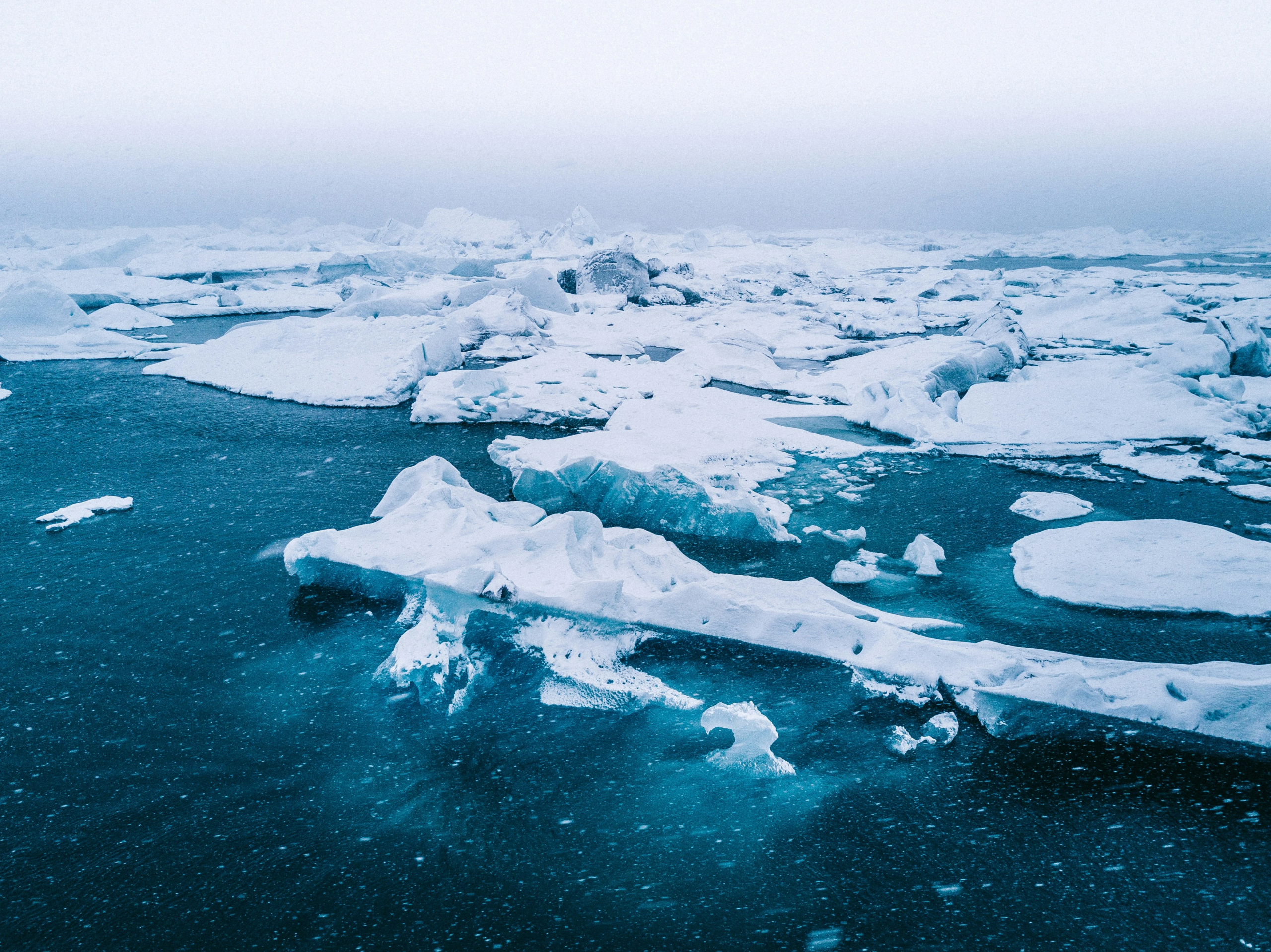 Explore the Arctic: A Guide to Luxury Arctic Expeditions & Experiential Travel