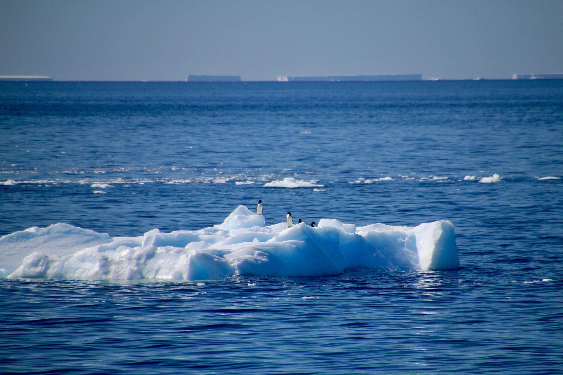 sarahnic-antarctica-4500429_1920 Explore Antarctica: A Luxury Guide to Experiential Antarctic Expeditions